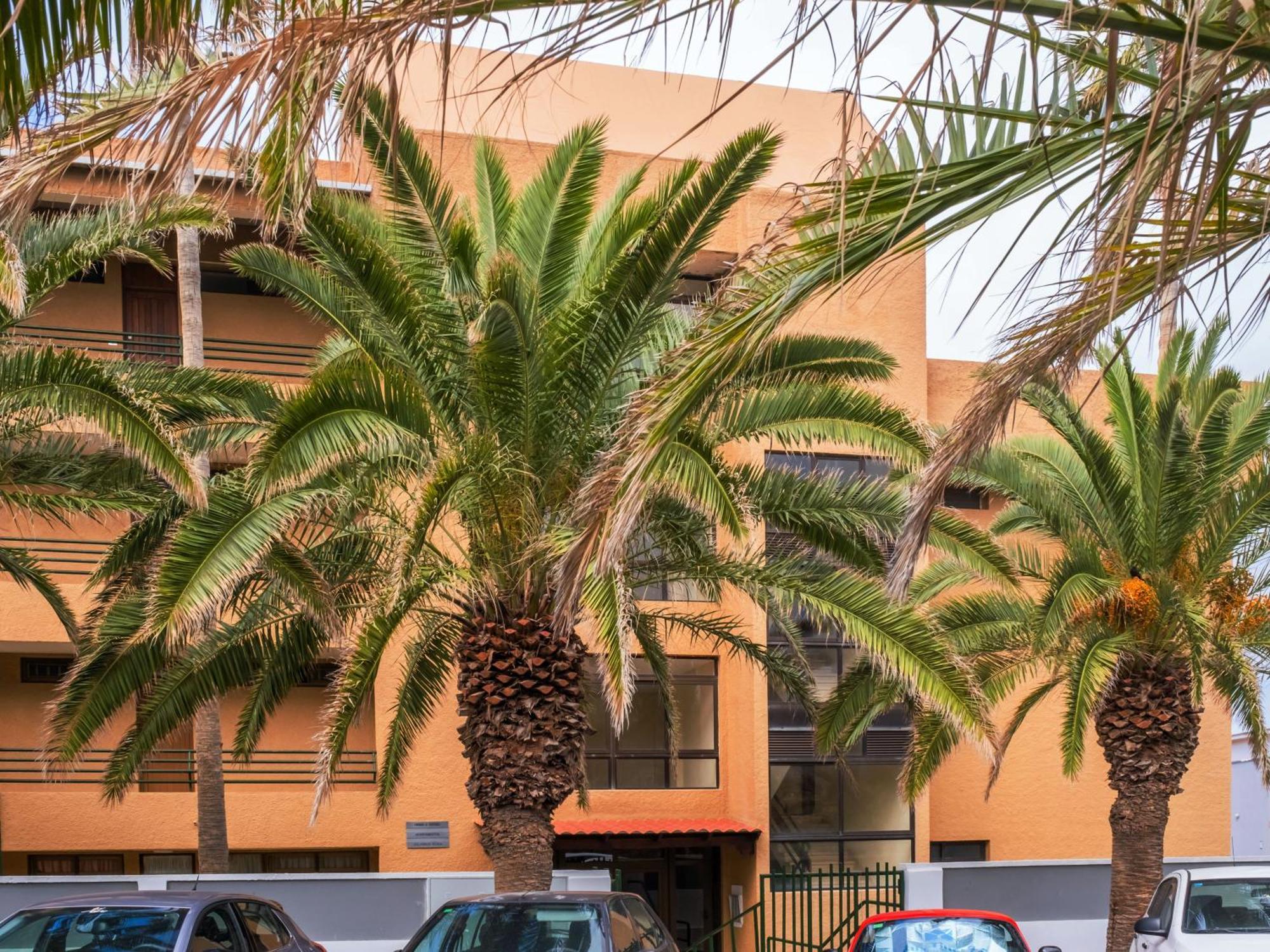 Live Punta Columbus Pool & Beach Front Punta Del Hidalgo Εξωτερικό φωτογραφία